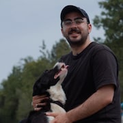 Le journaliste Gali Bonin s'adresse &agrave; la cam&eacute;ra en flattant un chien.